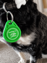 caretags-pets-close