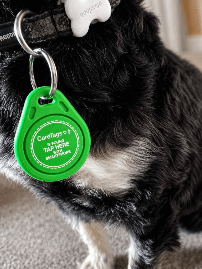 CareTags for Pets - Help Lost Pets Reunite with Their Owners